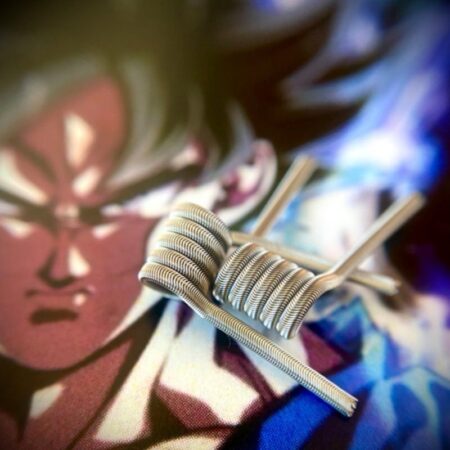 RESISTENCIA TIMON COIL GOKU 0.12OHM 2UD