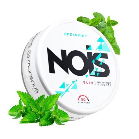 NOIS POUCHES SPEARMINT 20MG 22UD