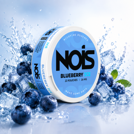 NOIS POUCHES SLIM BLUEBERRY ICE 16MG 22UD