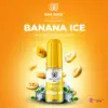 BAR JUICE 5000 SALTS BANANA ICE 10ML